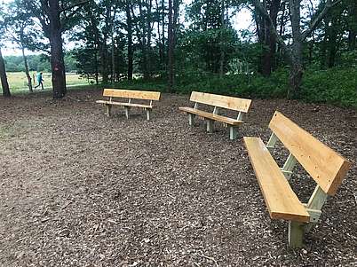 Wooden benches next to forest