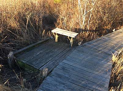 Viewing platform with bench next to boardwalk