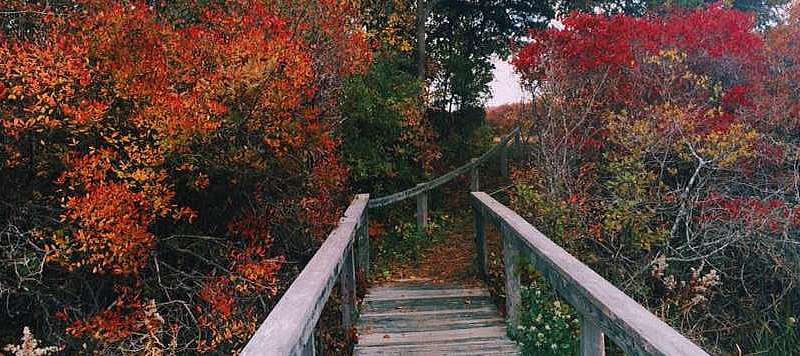 Pecoy Point Preserve