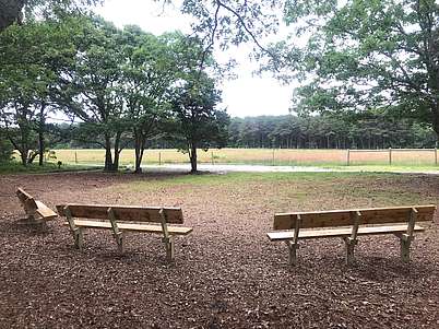 Wooden benches with grassland views