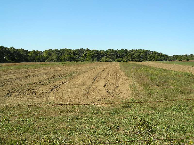 Norton Fields Preserve