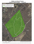 Middle Line Woods Preserve hunting map