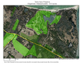 Toms Neck Preserve