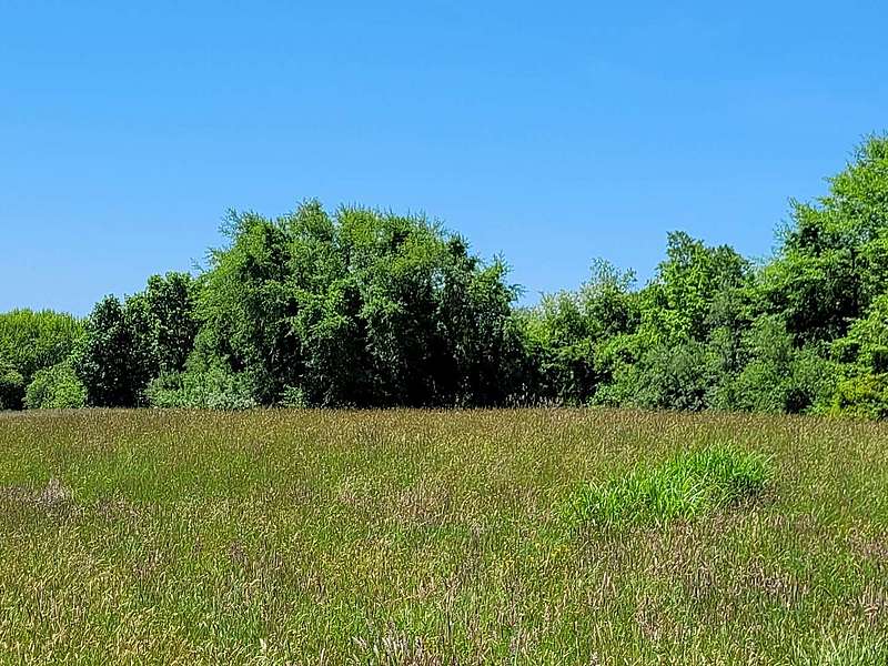 Old County Arboretum