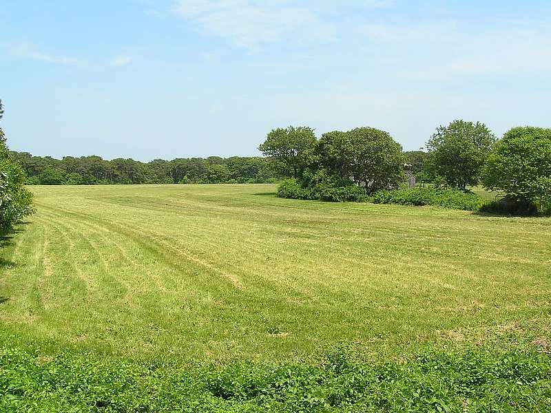 Poucha Pond Reservation