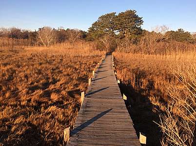 Boardwalk in scenic preserve area