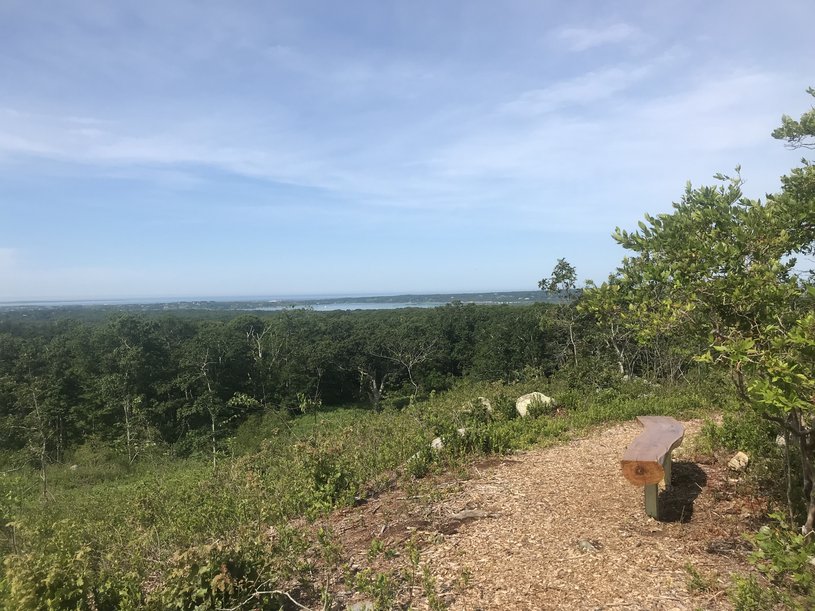 Bench on trail with expansive views