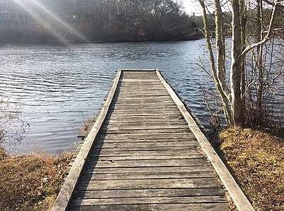 Wheelchair-accessible pond viewing platform