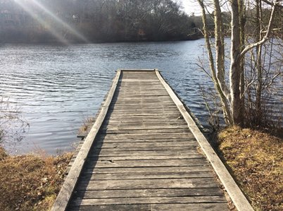 Wheelchair-accessible pond viewing platform