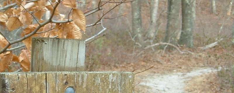 Ripley’s Field Preserve