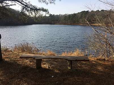 Bench facing the pond
