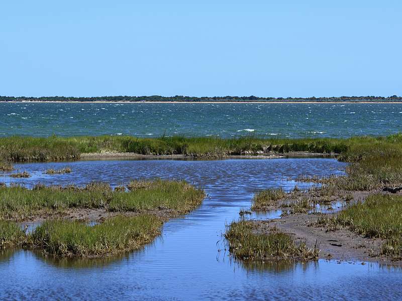 Official website Martha's Vineyard Land Bank