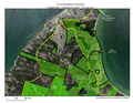 Download PDF file Cove Meadow Preserve