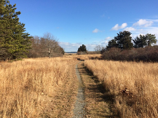 Hardened trail with salt marsh and pond views